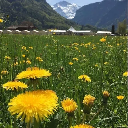 Balmers Tent Village - Hotel Matten bei Interlaken
